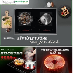 Bếp từ đôi EUROSUN EU-T755Pro tại thành phố Hồ Chí Minh