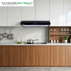 Máy hút mùi âm tủ EUROSUN EH-60CF19B / EH-60CF19EB / EH-70CF19B / EH-70CF19EB tại thành phố Hồ Chí Minh