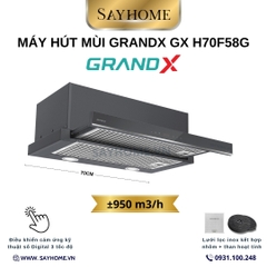Máy hút mùi GrandX GX H70F58G âm tủ, ray kéo, màu xám - Hàng chính hãng