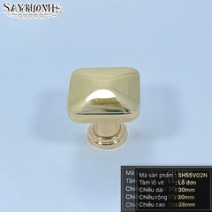 Núm tủ hiện đại màu vàng mờ, vàng gold, đen mờ, bạc và bạc bóng SH55V02N tại thành phố Hồ Chí Minh