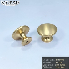 Núm tủ hiện đại màu vàng mờ SH2809