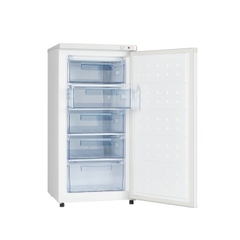 Tủ đông Hòa Phát đứng HPF-UAH6147 tại thành phố Hồ Chí Minh