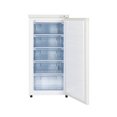 Tủ đông Hòa Phát đứng HPF-UAH6147 tại thành phố Hồ Chí Minh