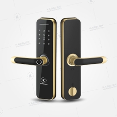 Khóa cửa KASSLER KL-668 APP GOLD thông minh - Hàng chính hãng KASSLER
