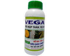 VEGA