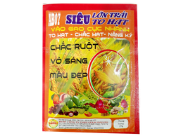 SIÊU TO HẠT