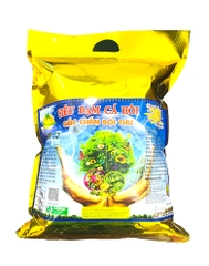 SIÊU ĐẠM CÁ HỒI