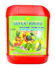 SUPER AMINO