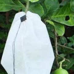 ( Sỉ) Combo 100 Túi lọc trà, cà phê vải không dệt có dây rút - Túi lọc nhiều kích thước