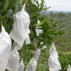 ( Sỉ) Combo 100 Túi lọc trà, cà phê vải không dệt có dây rút - Túi lọc nhiều kích thước