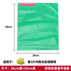 ( Sỉ) Combo 100 Túi lọc trà, cà phê vải không dệt có dây rút - Túi lọc nhiều kích thước