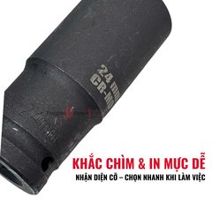 Bộ khẩu 1/2