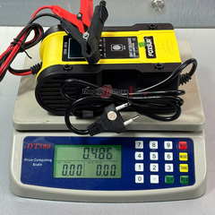 Sạc foxsur 12V/24V - 6A
