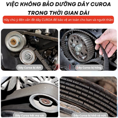 Chai xịt bảo dưỡng Curoa 3T