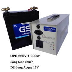 Bộ Lưu Điện Diamod UPS 220V 1000W - Acquy 12V