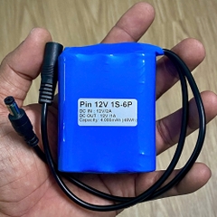 Pin lưu điện 12V 4.000mAh 48Wh 1S-6P