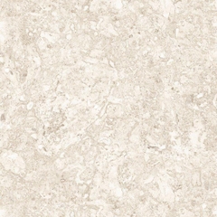 Gạch vân đá ốp sân vườn 50x50