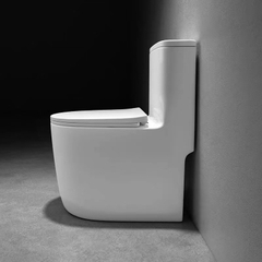 Bồn cầu 1 khối nhập khẩu RHENWARE