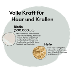 Viên Biotin Forte GRAU cho Chó Mèo sắc tố lông