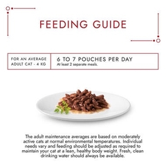 Pate Gourmet Mon Petit cho Mèo