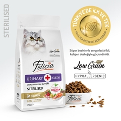 Hạt Felicia Urinary Sterilised Cat Salmon Hỗ trợ tiết niệu cho mèo triệt sản