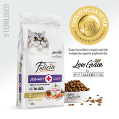 Hạt Felicia Urinary Sterilised Cat Salmon Hỗ trợ tiết niệu cho mèo triệt sản
