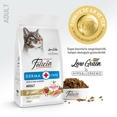 Hạt Felicia Derma Adult Cat Salmon hỗ trợ lông và da cho mèo lớn