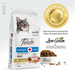 Hạt Felicia Derma Adult Cat Salmon hỗ trợ lông và da cho mèo lớn