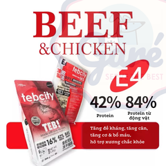 1.5kg SEAL TEB - Hạt Teb City cho Mèo