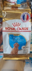 Hạt Poodle Puppy Royal Canin cho Chó con giống Poodle
