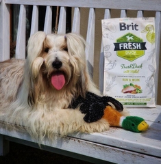 Hạt BRIT Fresh DUCK with Millet Active Run & Work cho Chó trưởng thành