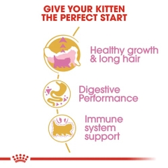 Hạt Kitten Persian Royal Canin Mèo con giống Ba Tư
