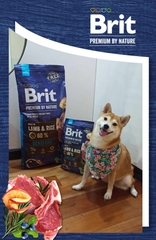 Hạt BRIT Premium by Nature SENSITIVE LAMB cho mọi giống Chó tiêu hóa nhạy cảm