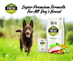 Hạt BRIT Fresh DUCK with Millet Active Run & Work cho Chó trưởng thành