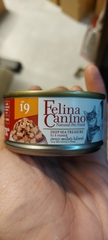 Felina Canino