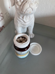 Viên Stress Tabletten GRAU giảm căng thẳng cho Chó