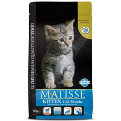 Matisse Kitten Farmina Mèo con 1 - 12 tháng Mèo mẹ , mèo con