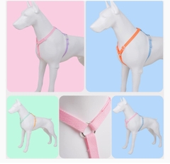 Xích thân Màu Pastel cho Chó Mèo