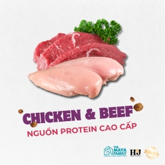 Hạt H&J Premium Chicken Beef Adult Cat cho Mèo trưởng thành