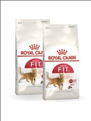 Hạt Fit 32 Royal Canin cho Mèo trưởng thành trên 12 tháng vận động thường xuyên
