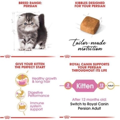 Hạt Kitten Persian Royal Canin Mèo con giống Ba Tư