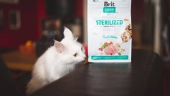 Hạt Brit Care Cat STERILIZED URINARY HEALTH Grain-Free cho Mèo tiết niệu