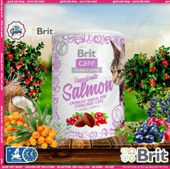 Hộp 100g Brit Care Bánh Thưởng SuperFruits