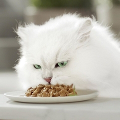 85gr Pate Mèo Purina Gourmet Perle
