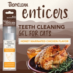 forCAT Gel Enticers Hickory Smoked Bacon Tropiclean - Gel vệ sinh răng miệng vị Gà ướp mật ong