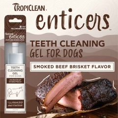 forDog Gel Enticers Smoked Beef Brisket Tropiclean - Gel vệ sinh răng miệng vị Ức Bò Hun Khói cho Chó