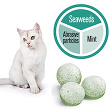 Denta Tabs Gimcat - Snack dạng viên Ngăn ngừa cao răng và mảng bám