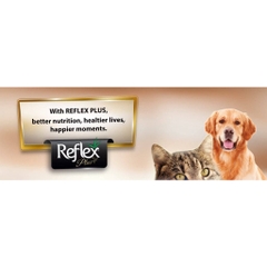 1.5kg - Hạt Reflex Plus cho Mèo con Mèo lớn tiết niệu Urinary, ngừa búi lông Hairball