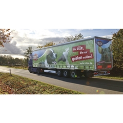 Que thưởng Vitakraft Stick Mèo