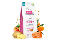 Hạt BRIT Care DOG GRAIN-FREE PUPPY Salmon cho Chó con
